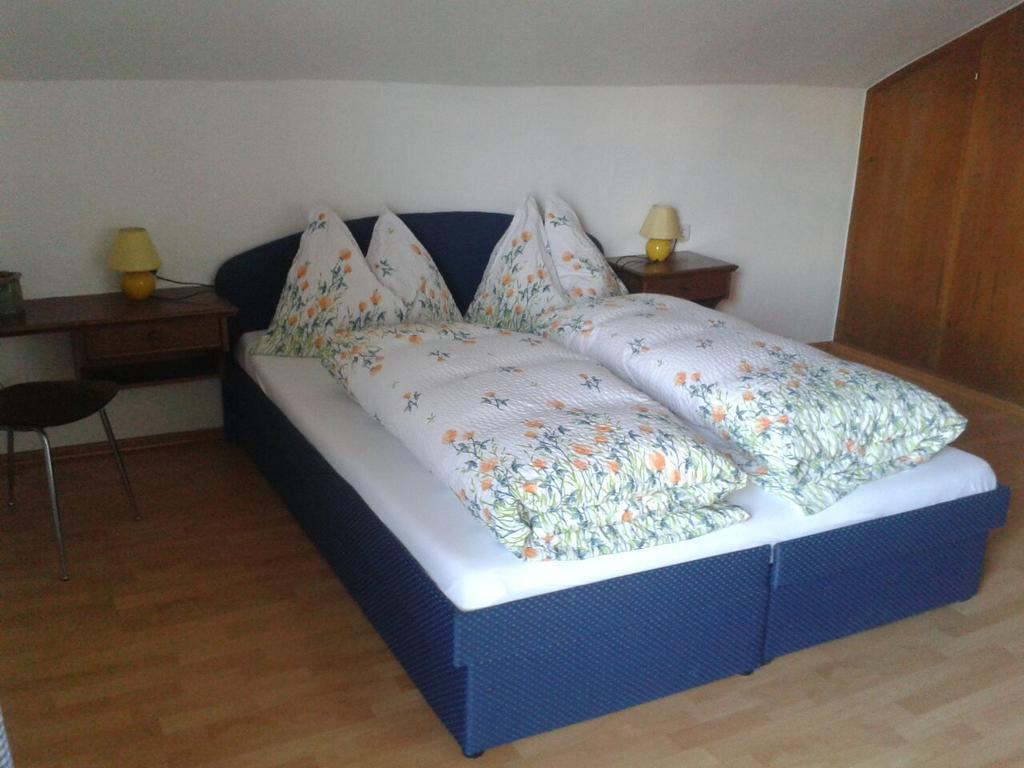 Appartamento Haus Elisabeth Mittersill Esterno foto